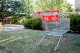 Dumped shopping trolley on footpath