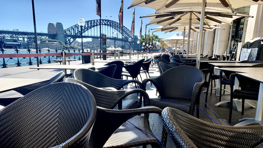Empty chairs at an outdoor venue overlooking the Sydney Harbour  Bridge.