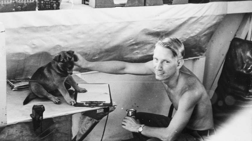 Greg Wirt pats a dog in Vietnam.