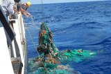 Nets are hauled aboard a research vessel from the GPGP