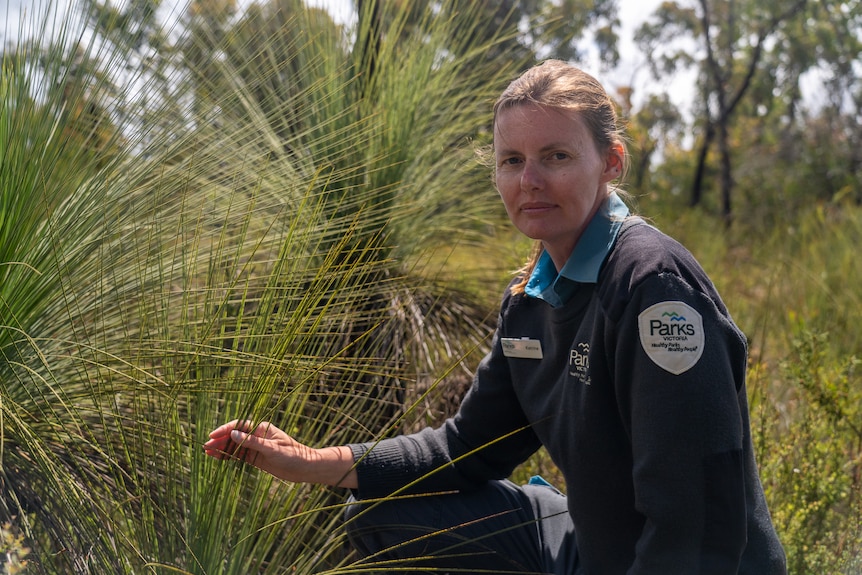 a woman squats and holds a grass tree while looking at the camera
