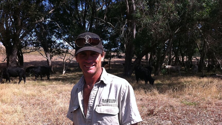 Warren Pensini with his angus cattle at his property in Boyup Brook