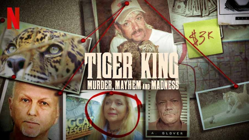 A montage of people and a tiger