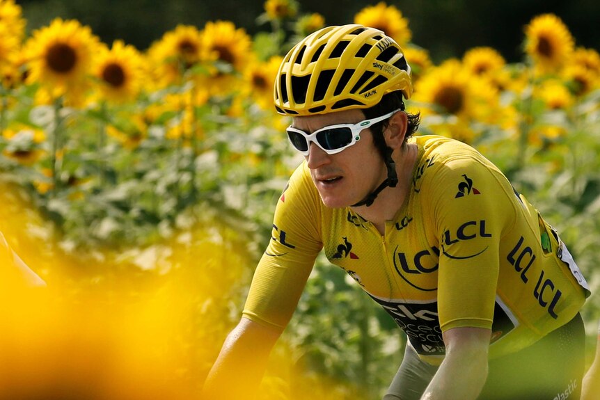 Geraint Thomas rides through sunflowers during 18th stage at Tour de France