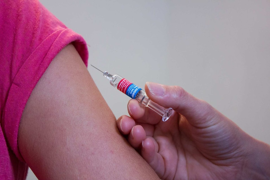 The flu vaccine