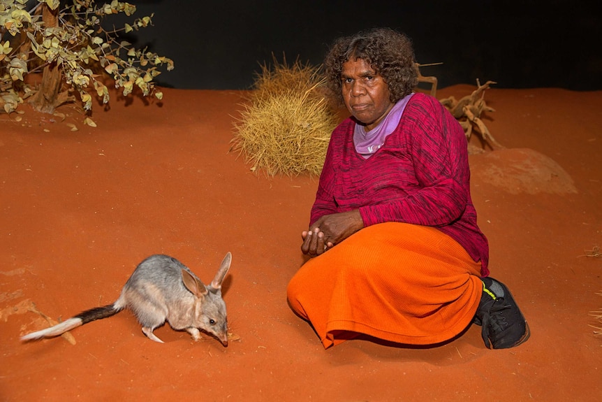 A picture of an Aboriginal lady and a bilby sitting in red sand in a controlled environment