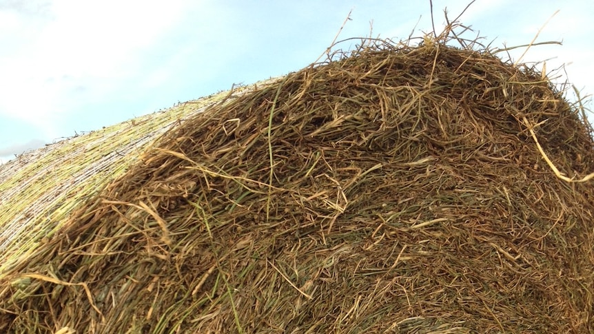 WA hay heads to drought-stricken Bourke