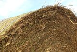 Hay heads to farmers in need