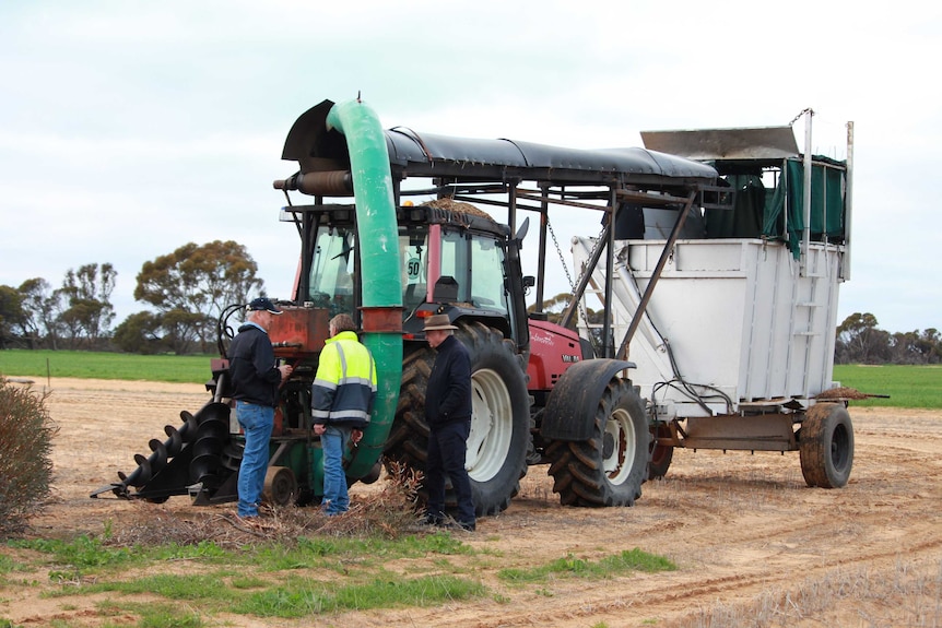 Tree senior men stand next to red tractor and harvest bin catcher in paddock