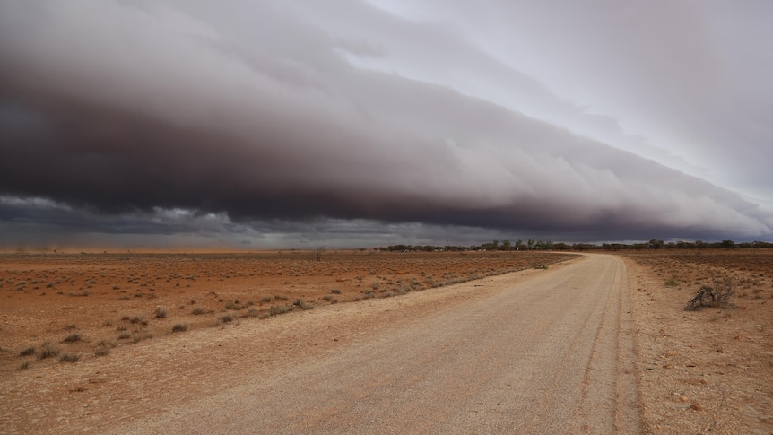 A long dirt road with dark clouds rolling overhead.