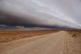 A long dirt road with dark clouds rolling overhead.