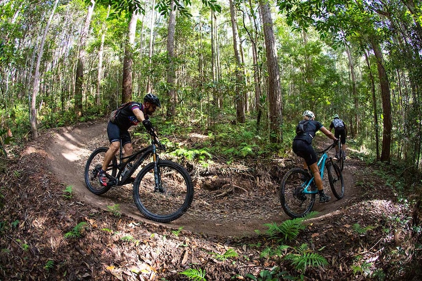 Mountain bikers follow a dirt track on the Sunshine Coast