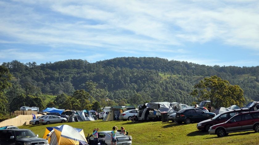 Campers set up on day one of Splendour in the Grass in Woodford