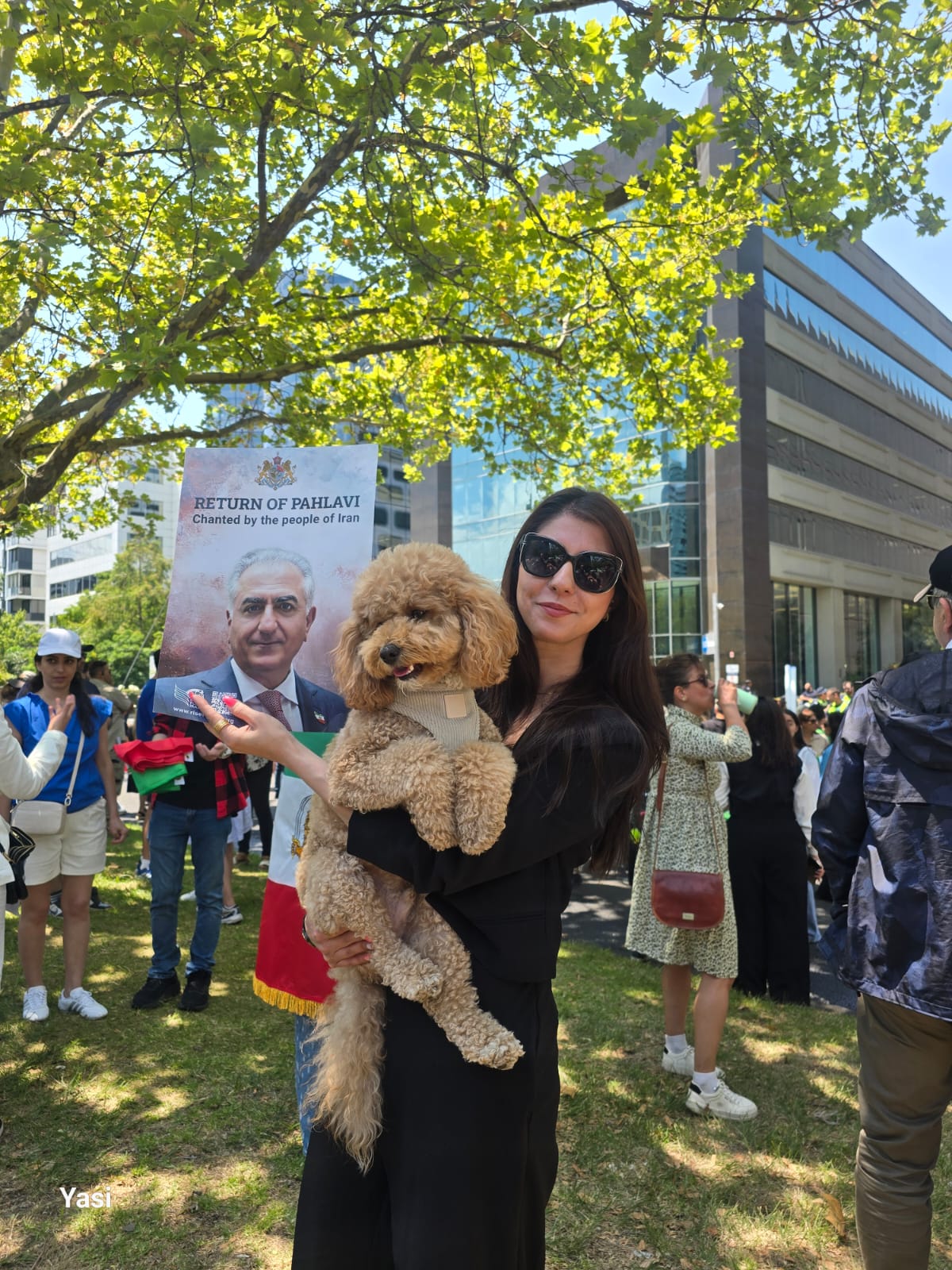 Uma mulher vestindo preto e óculos escuros está em um parque verde segurando um cachorro marrom.