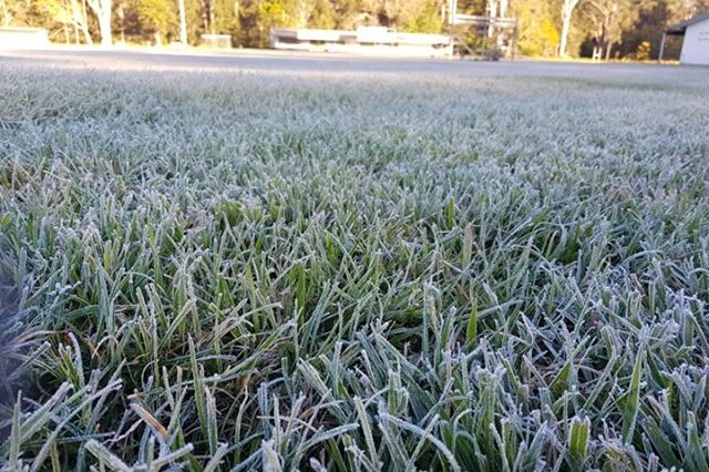 Frost on the grass of a sports oval.