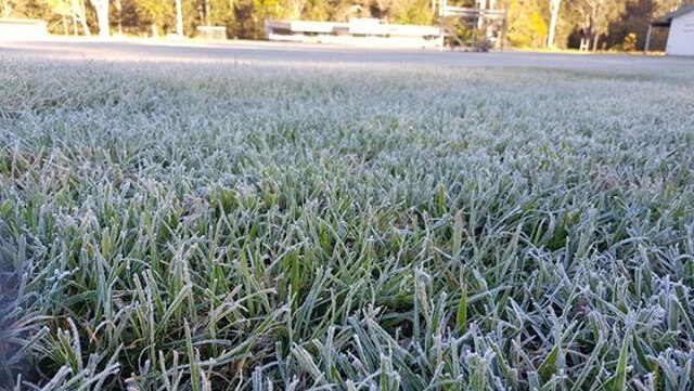 Frost on the grass of a sports oval.