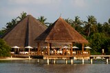 Bungalows in a luxury resort sit on stilts in the water off a tropical beach, with palm trees in the background