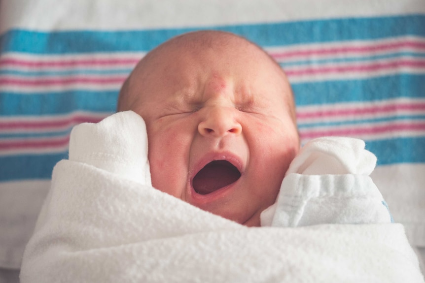 Yawning newborn swaddled in white muslin