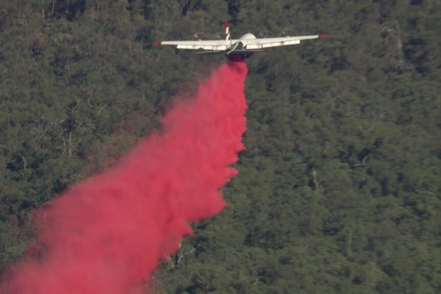 A plane drops a red substance over bushland.