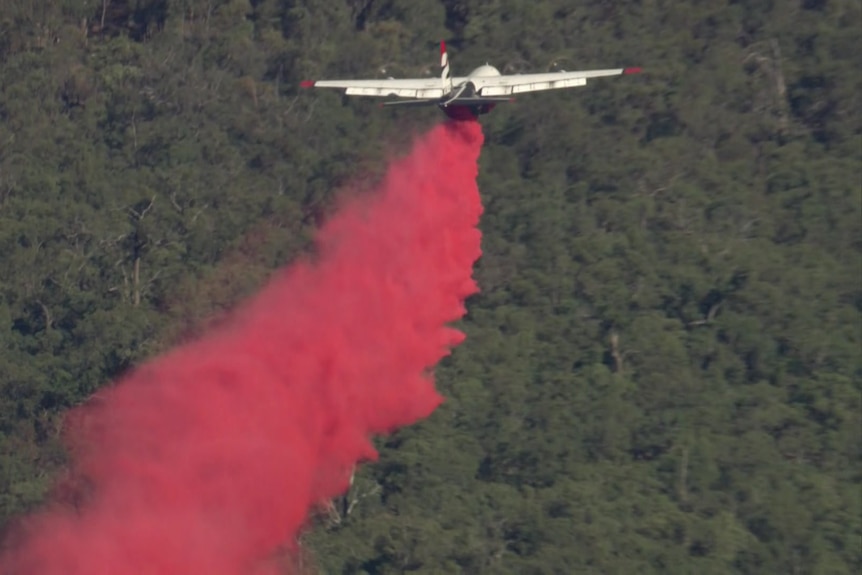 A plane drops a red substance over bushland.