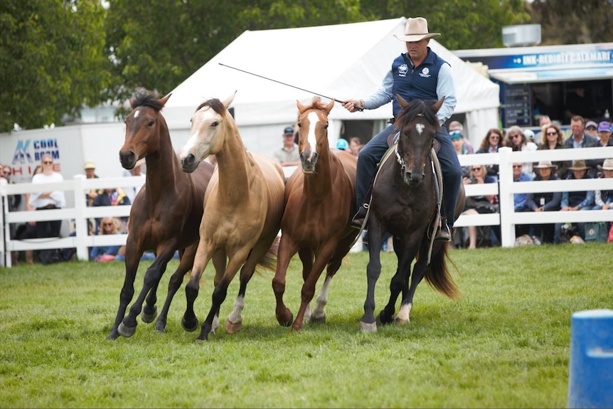 Photo of a man with three horses in an arena.