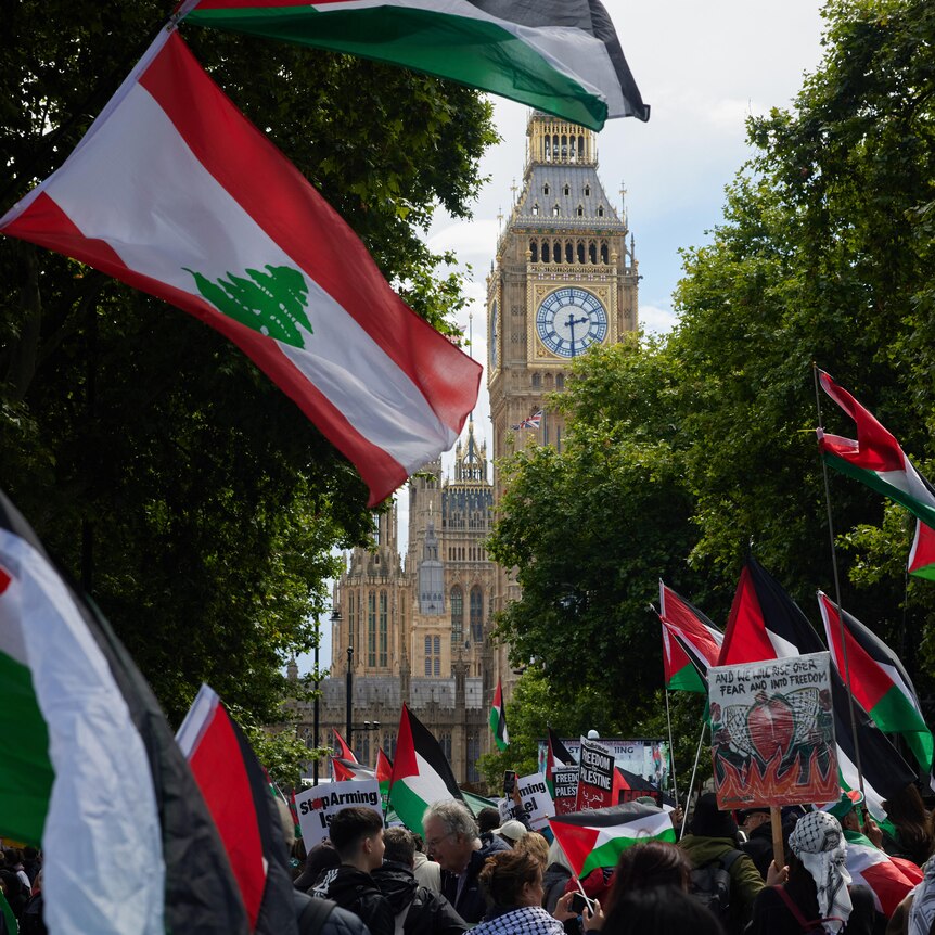 Protesters wave Palestinian flags in the centre of London, with the tower of Big Ben in the background.  