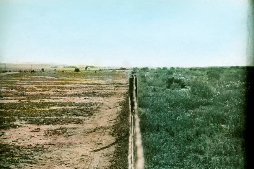 A hand coloured image of a fence line showing regeneration on one side compare to erosion on the other.