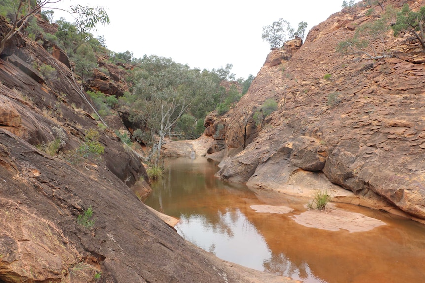 A photo of a creek at Mutawintji National Park.