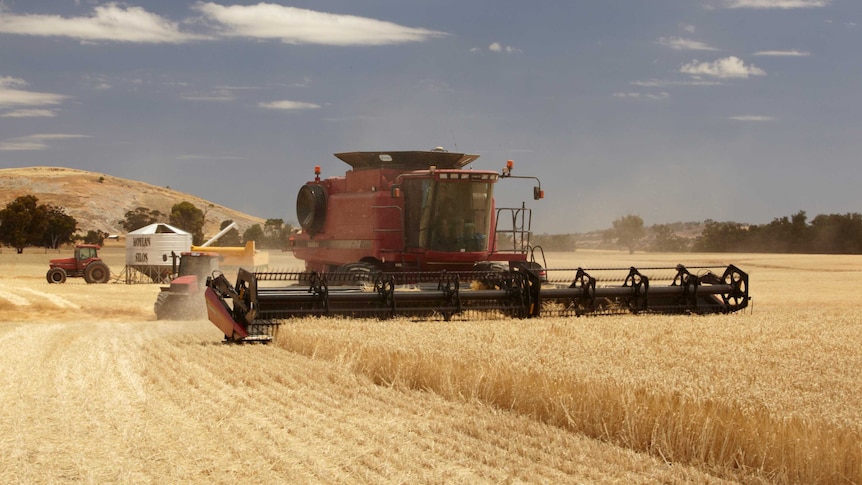 A harvester in a field.