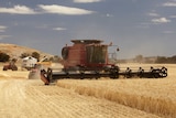 A harvester in a field.