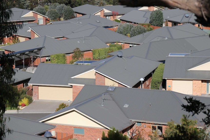 Grey roofs in a suburb.