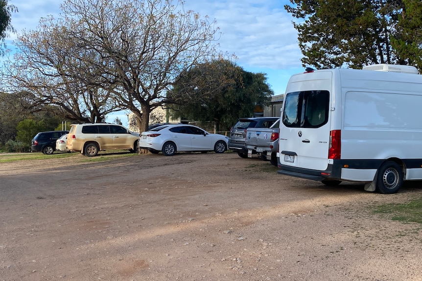 Seven cars park in a dirt car park in front of a number of trees