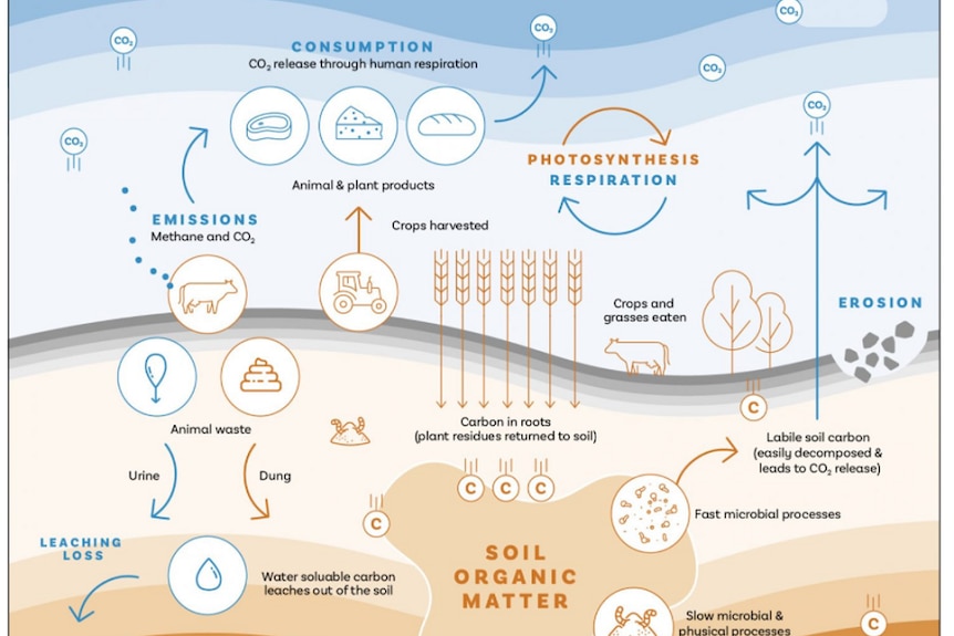 A graphic of the carbon cycle on farm.
