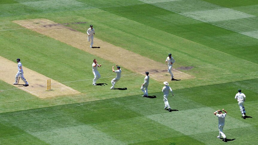 The Australian team celebrate claiming the wicket of Joe Root after he was dismissed by Ryan Harris.