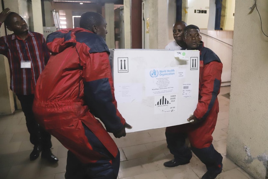 Two men in red carry large white box containing vaccines