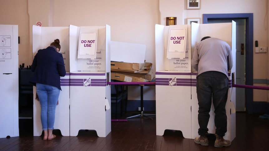 Two people standing at polling booths casting a vote.