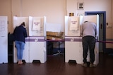 Two people standing at polling booths casting a vote.