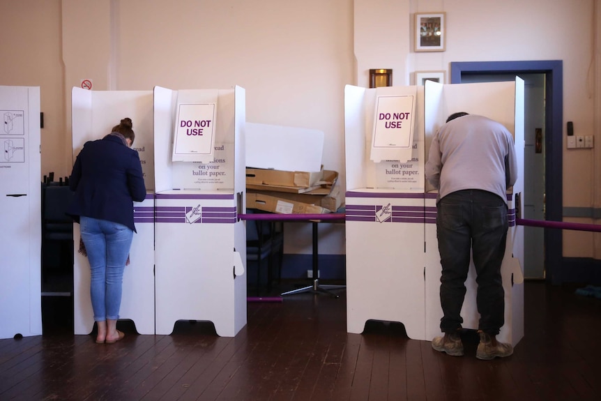 Two people standing at polling booths casting a vote.