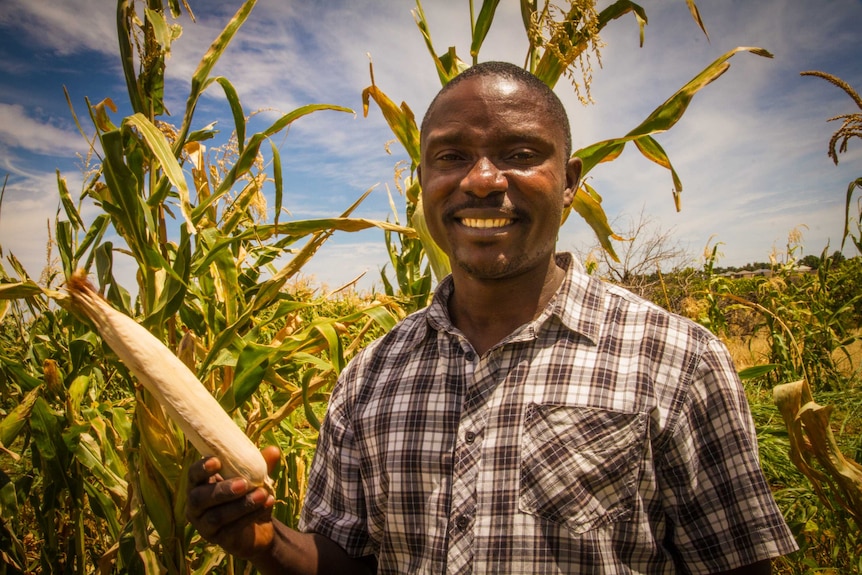 Dieudonne Nsengiyumva poses with a head of maize.