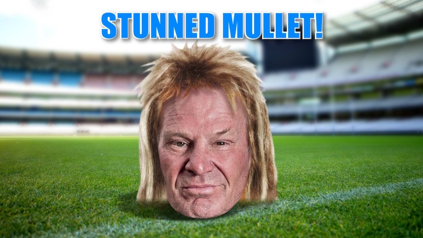 Stunned Mullet!