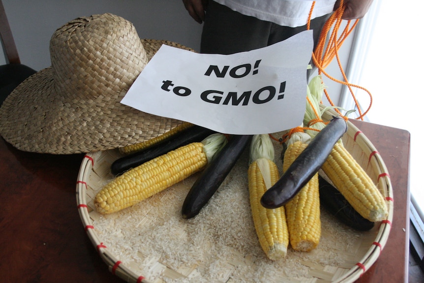 "No to GMO" protest sign