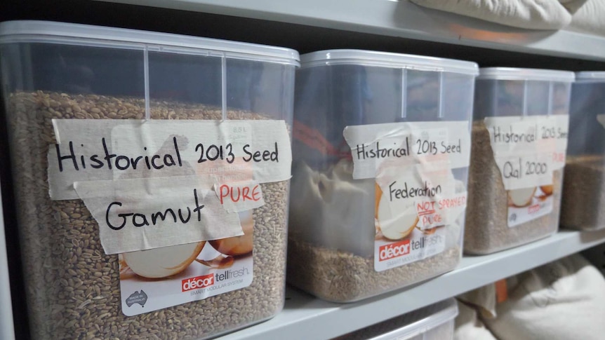 Tubs of seeds on shelves marked with seed names and dates.