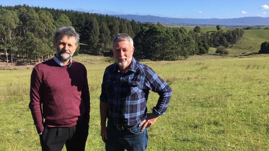Phil Banks and John Coman standing in front of tree plantings on their farm