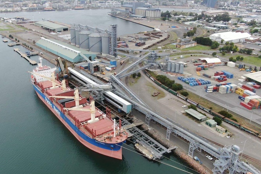 Una toma aérea de un gran carguero atracado junto a un cargador de granos, con el puerto y la ciudad de Newcastle al fondo.