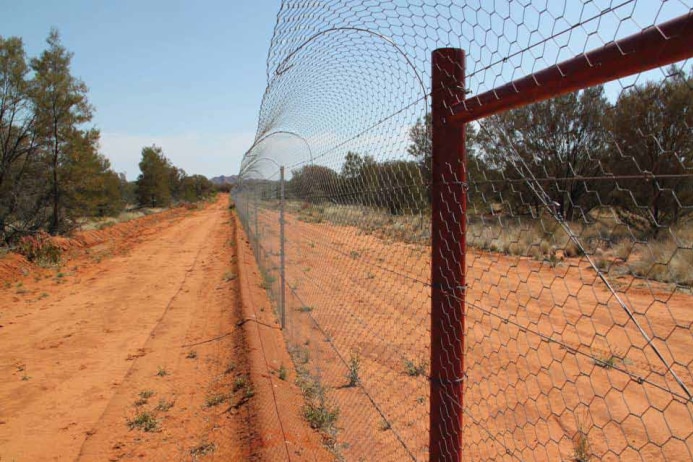 A fence made of chiken wire with a curved top extends across the red desert dirt.