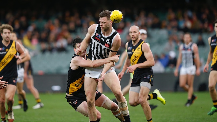 Two Australian rules football teams play on a field