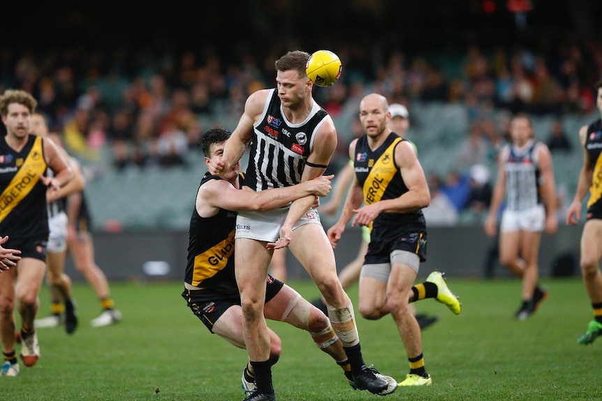 Two Australian rules football teams play on a field