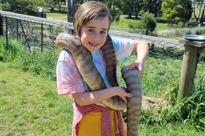 A little girl smiles whilst draped with a huge python