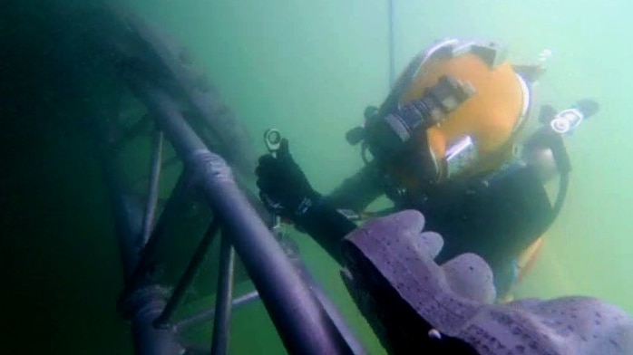 An underwater garden being installed up to six metres below Sydney Harbour at Barangaroo.