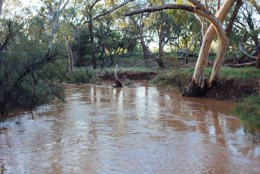 Barcoo River